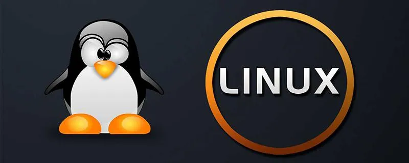linux下统计某个目录下文件