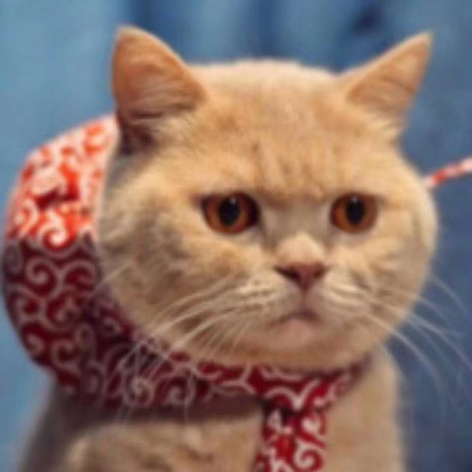 git所有功能介绍及使用